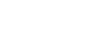 distribuidores grupo nieto-logotipo Torres
