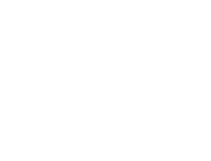 Logotipo puerto de indias